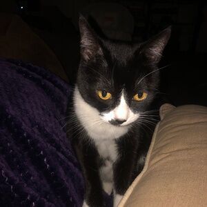 Meet your Posher, Hudson